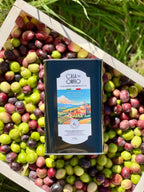 Natives Olivenöl Extra Vergine Casa di Orfeo 1 Liter – Sizilien 2025/2026, Italien