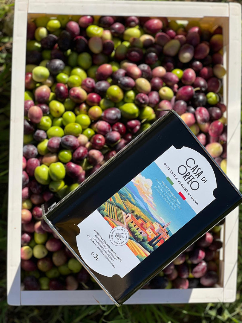Natives Olivenöl Extra Vergine Casa di Orfeo 3 Liter – Sizilien 2025/2026, Italien